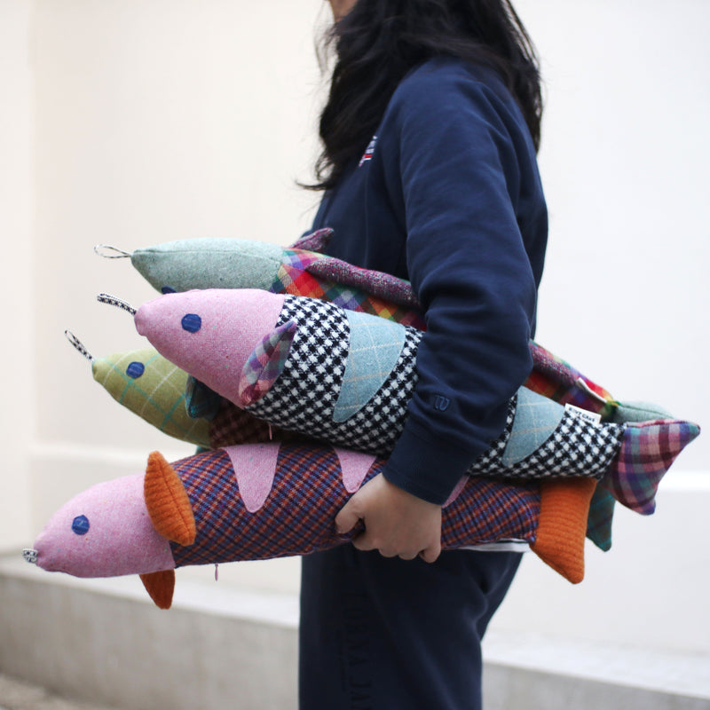 Lucky Fish - Zippy Misty